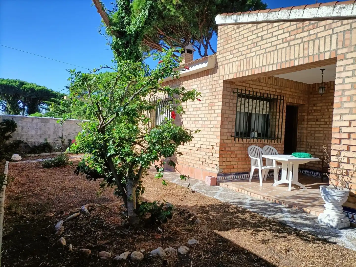 Jardí de Casa o xalet en venda en La Barrosa