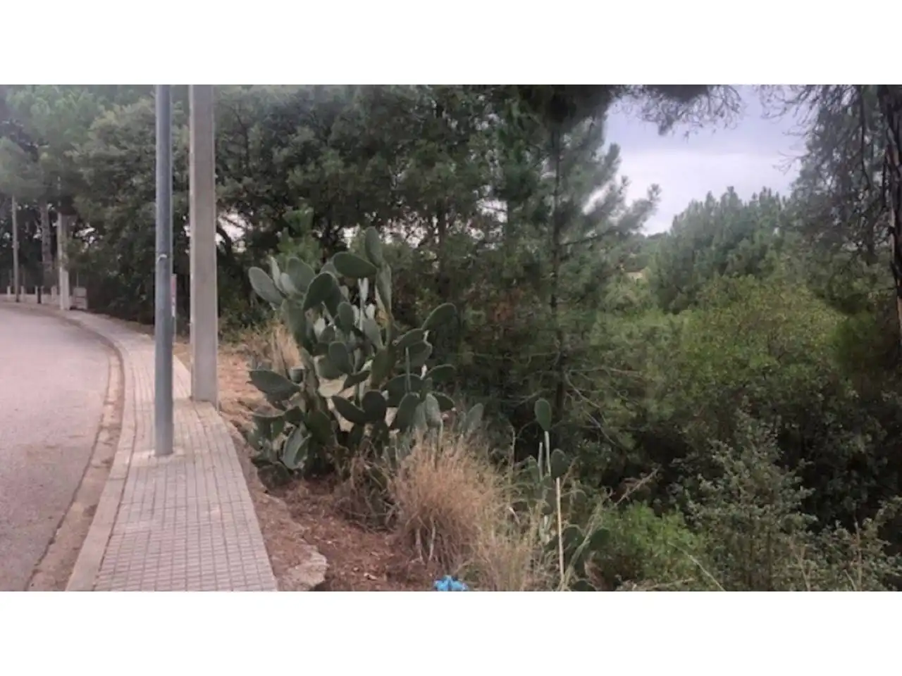 Terreno rústico en venta en Calle GERANIS, imagen 7