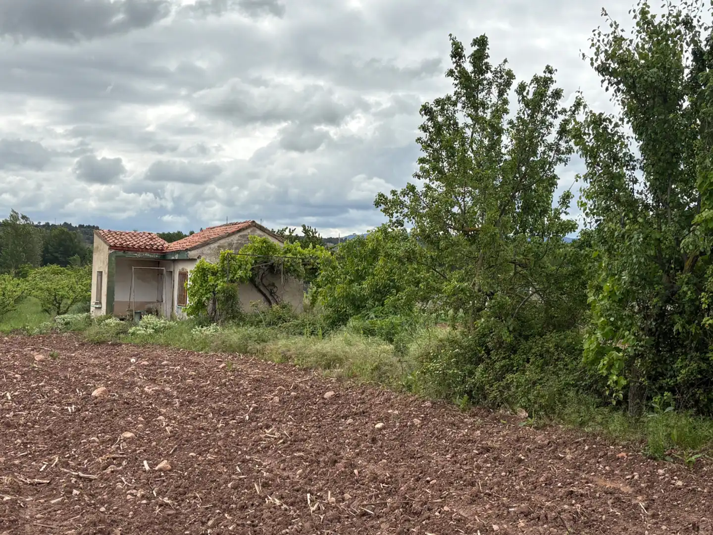 Terrenys i solars en venda a Alberite, imagen 2