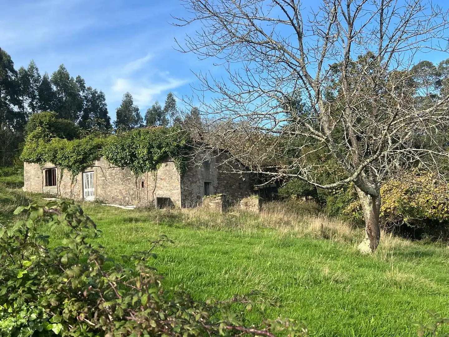 Casa rústica en venta en Lugar Silvalonga, imagen 13