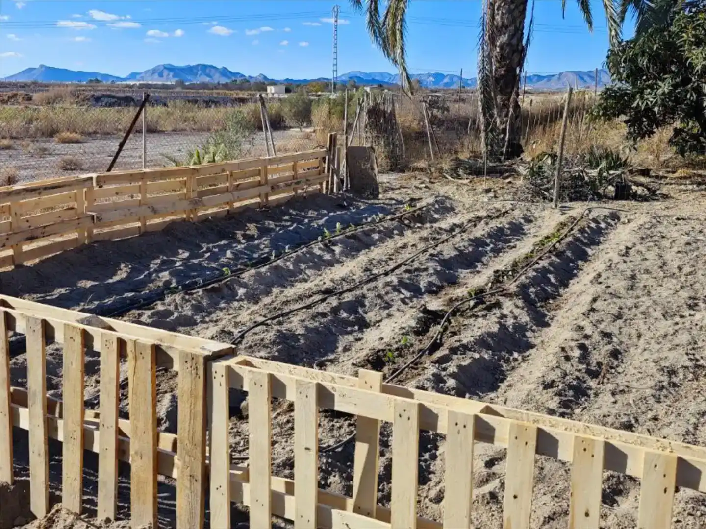 Jardí de Finca rústica en venda en Novelda amb Aire condicionat i Piscina