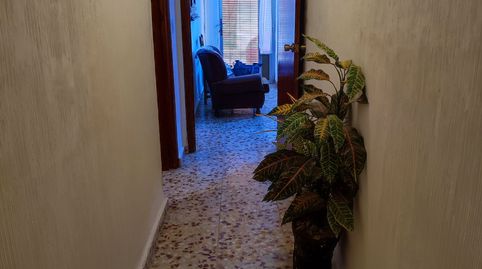 Foto 4 de Finca rústica en venta en Tobarra, Albacete