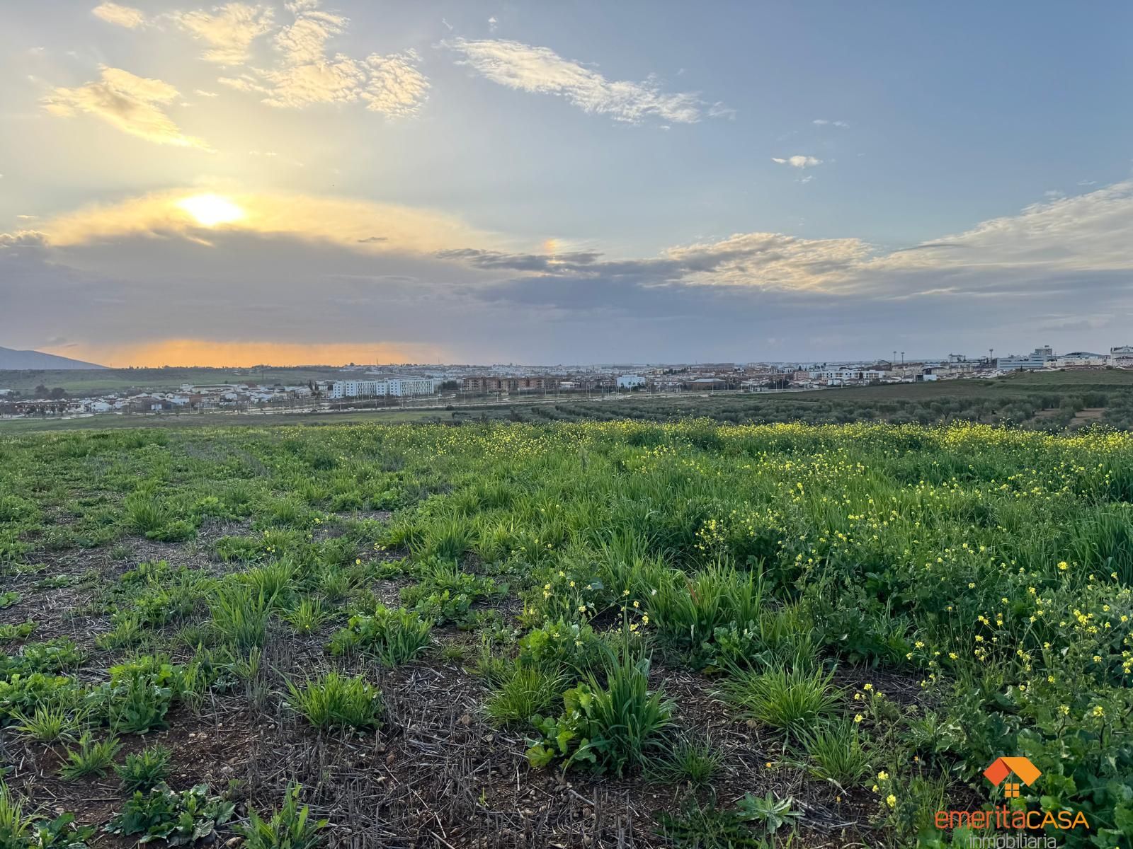 Residential for sale in Mérida