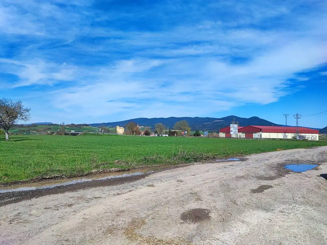 Rustikales Grundstück zum Verkauf in CR NACIONAL 1 246 /245 R, imagen 5
