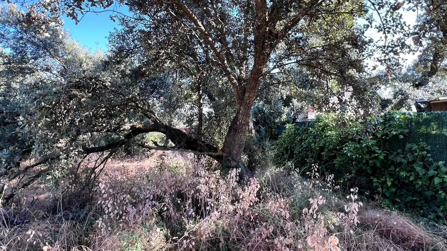 Terreni e lotti in vendita a Quintanar, imagen 3