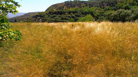 Finca Rúst. en venta en Polígonos., imatge 4