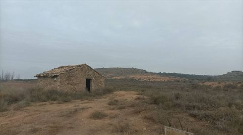 FINCA DE REGADIO CON CASETA DE PIEDRA Y FACIL ACCESO