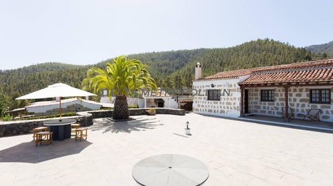 Foto 4 de Finca rústica en venta en Paredes, Granadilla de Abona ciudad, Granadilla de Abona