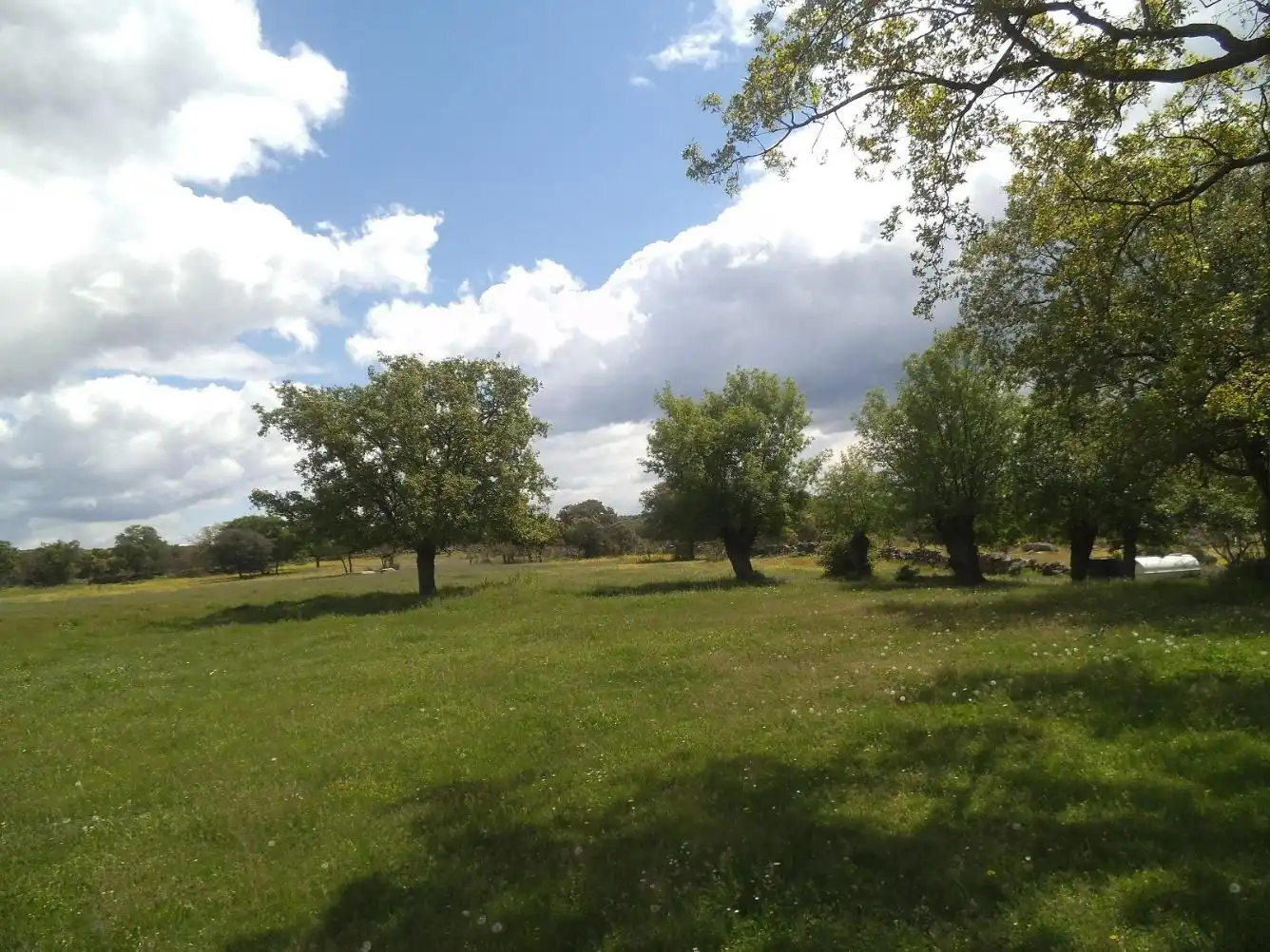 Residencial en venda en Valdemorillo