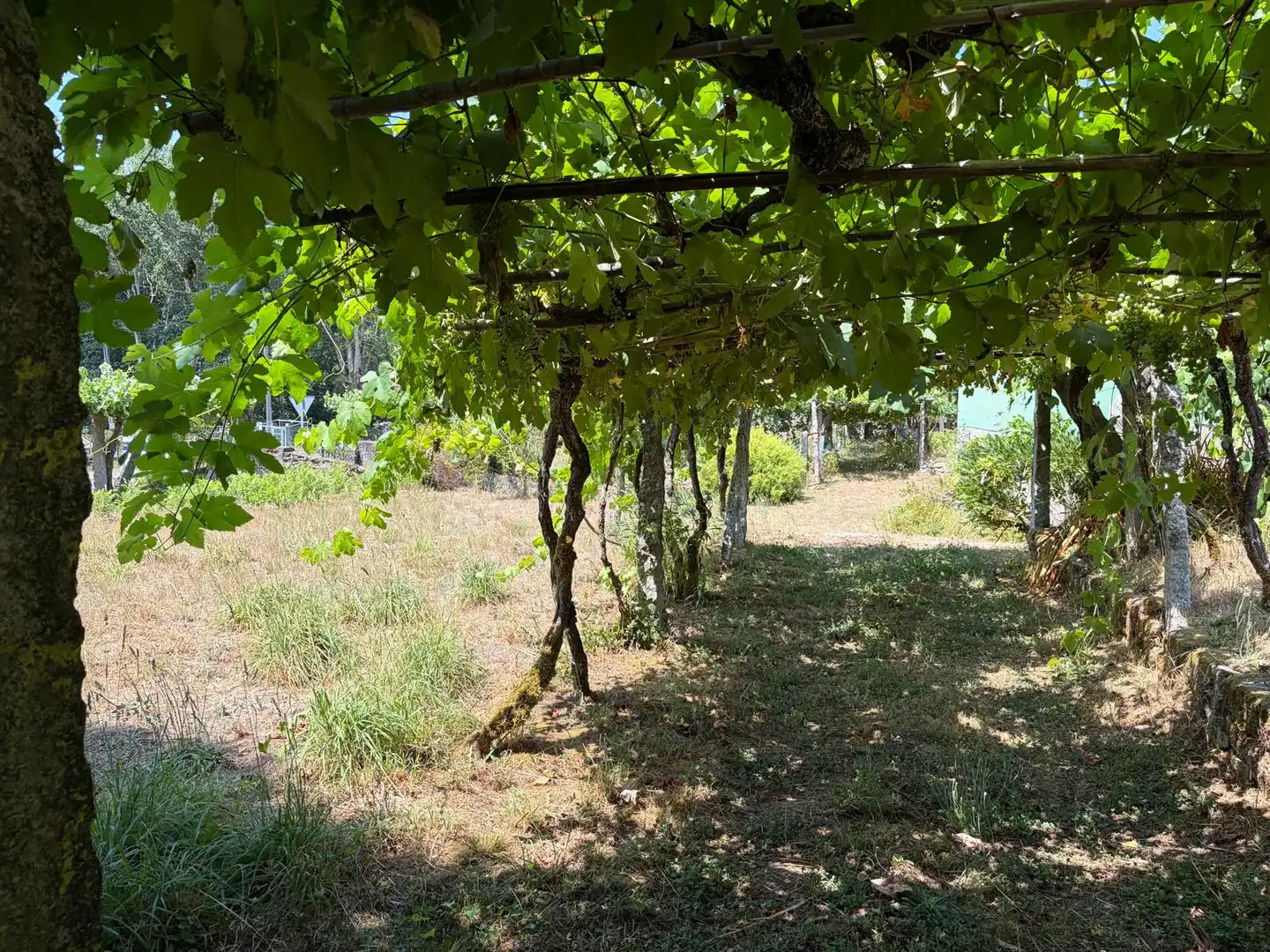 Casa o xalet en venda en Salvaterra de Miño amb Jardí privat i Parquet