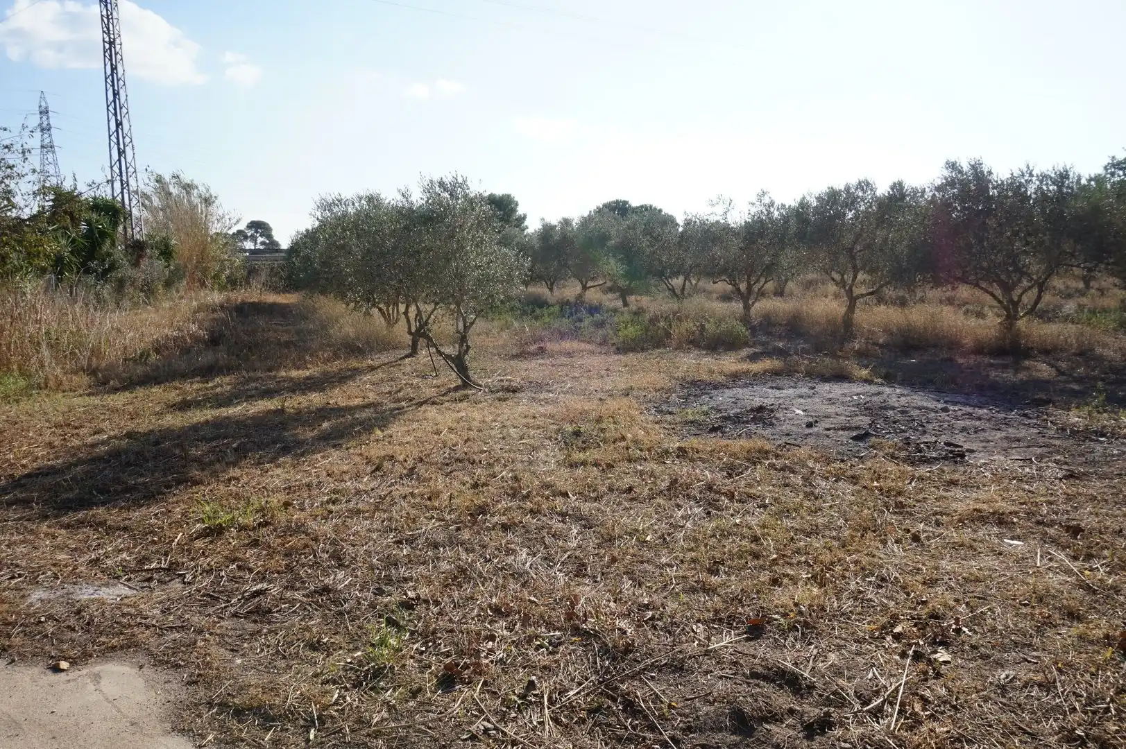 Terrain rustique à vendre à T-310, imagen 72