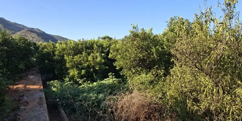 Terrain rustique à vendre à Terrenos MARXUQUERA  ALTA, imagen 31