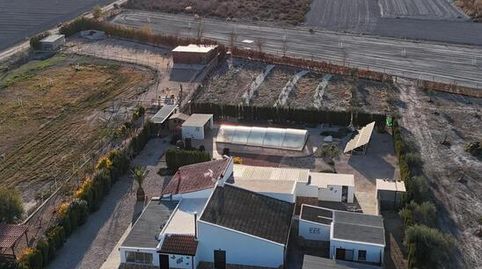 Foto 4 de Finca rústica en venda a Las Virtudes, Villena