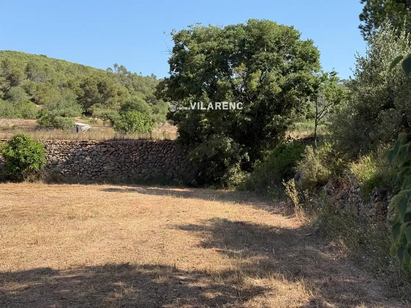 Rustikales Grundstück zum Verkauf in La Pobla de Montornès, imagen 15