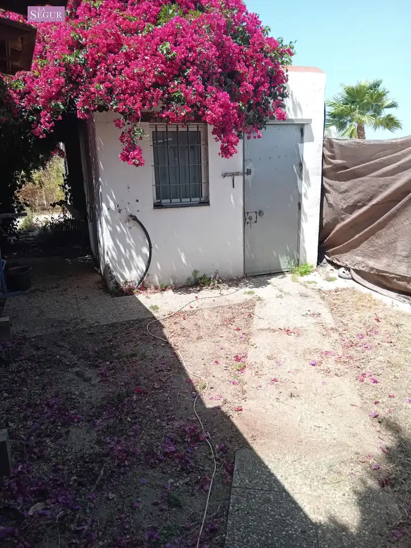 Jardín de Finca rústica en venta en Vejer de la Frontera con Jardín privado, Terraza y Trastero
