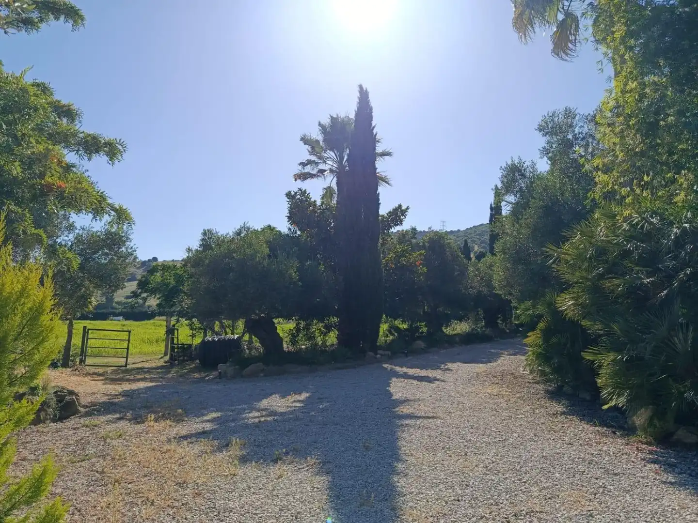 Casa rústica amb piscina en venda a San Martín del Tesorillo, imagen 54
