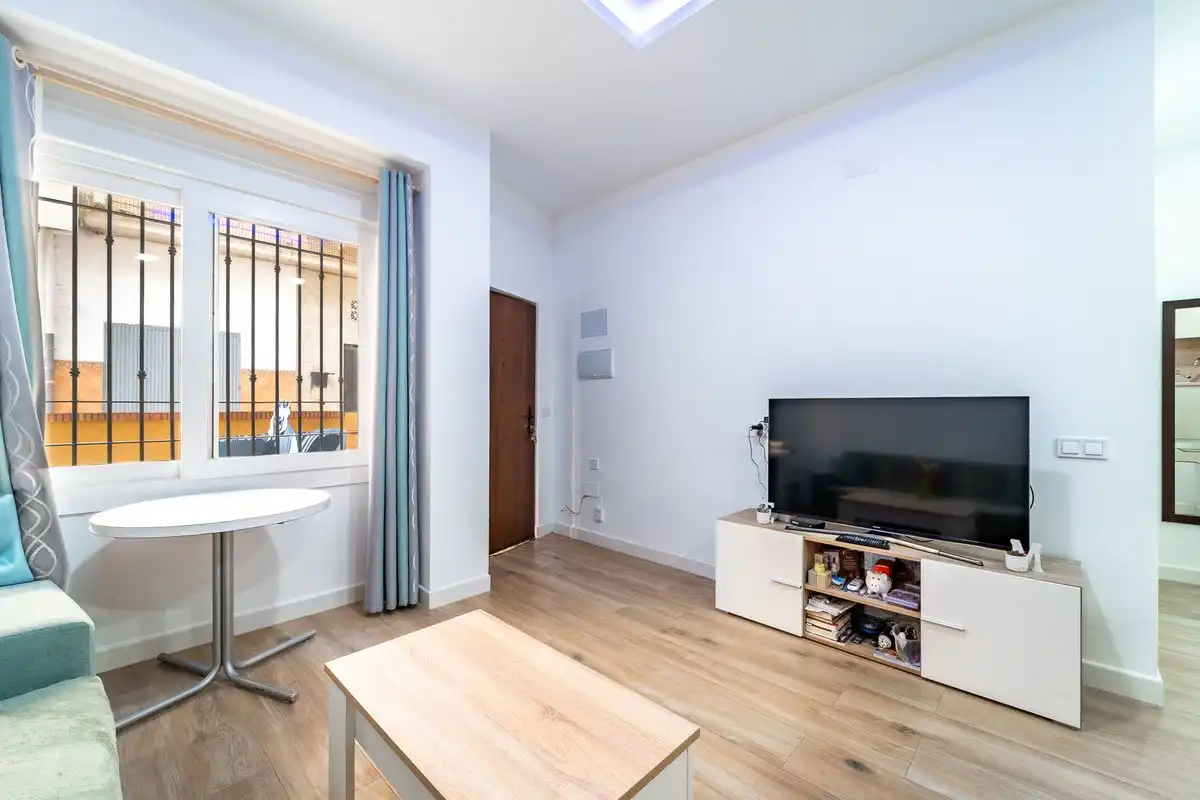 Sala d'estar de Estudi en venda en Málaga amb Aire condicionat, Calefacció i Moblat