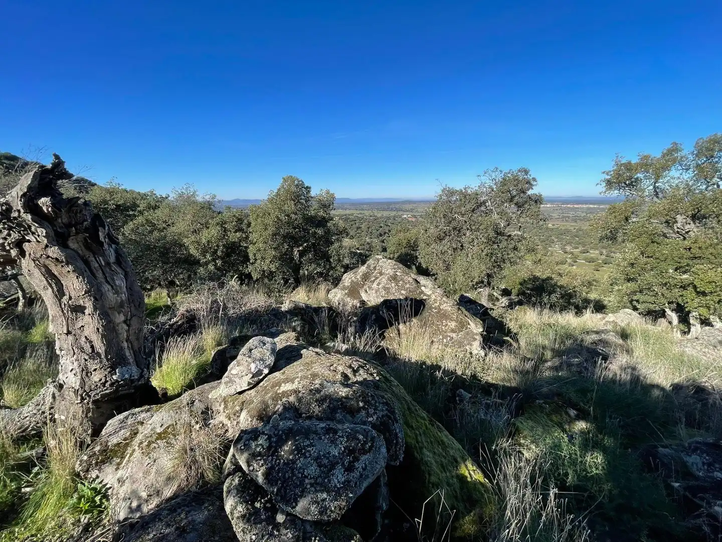 Terreni e lotti in vendita a Montánchez, imagen 11