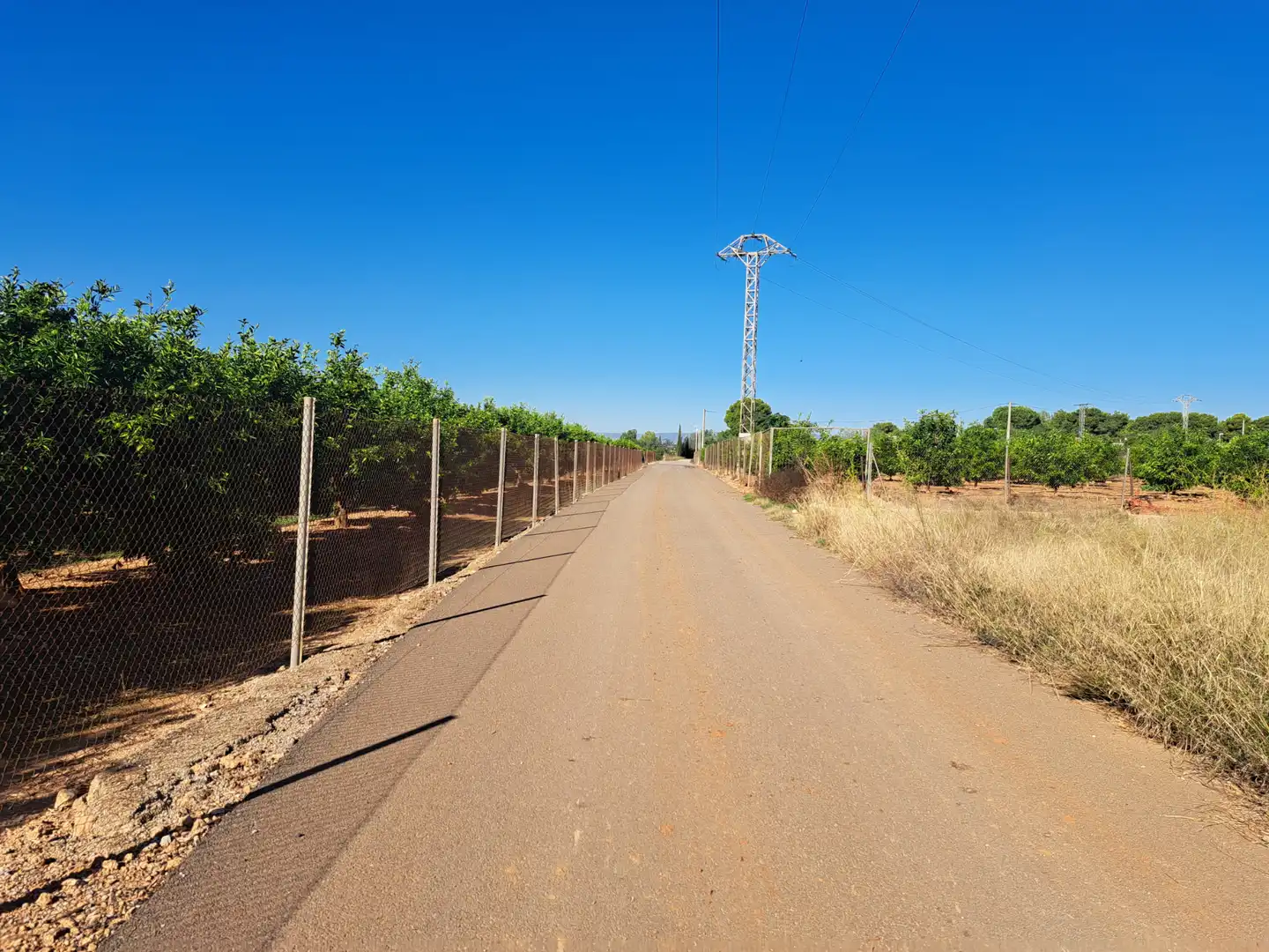 Rural land for sale in Plaça Num 17 105, imagen 8