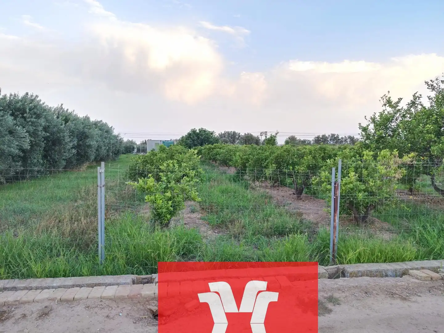 Terreno rústico en venta en Moncada, imagen 4