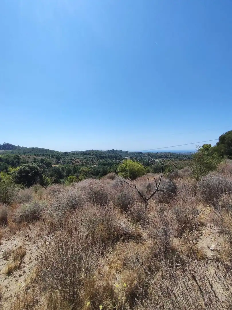 Terreny residencial en venda a T-704 2, imagen 5