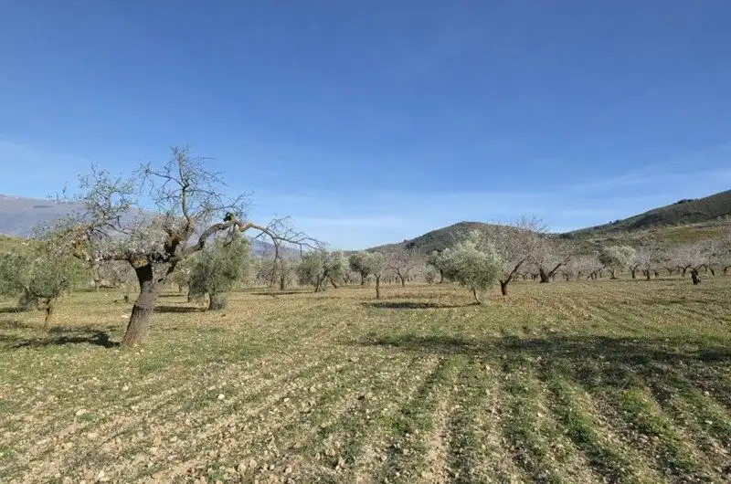 Terreni e lotti in vendita a Travesia Jose Mariano Vallejo, imagen 25