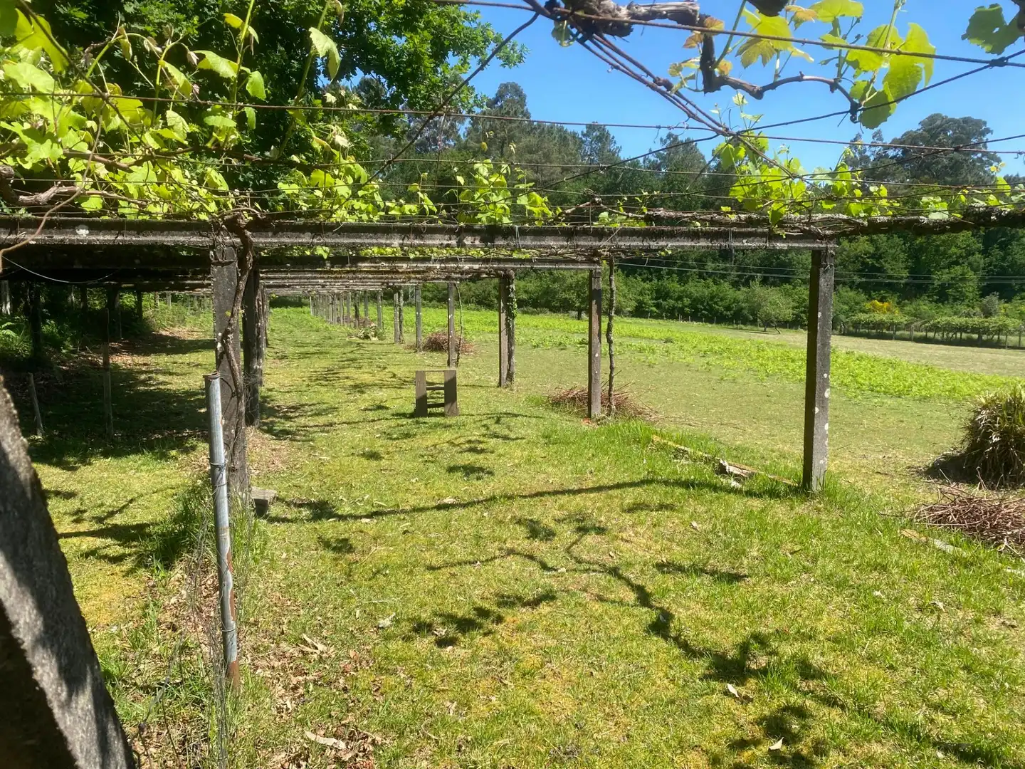 Jardín de Casa o chalet en venta en A Estrada  con Calefacción