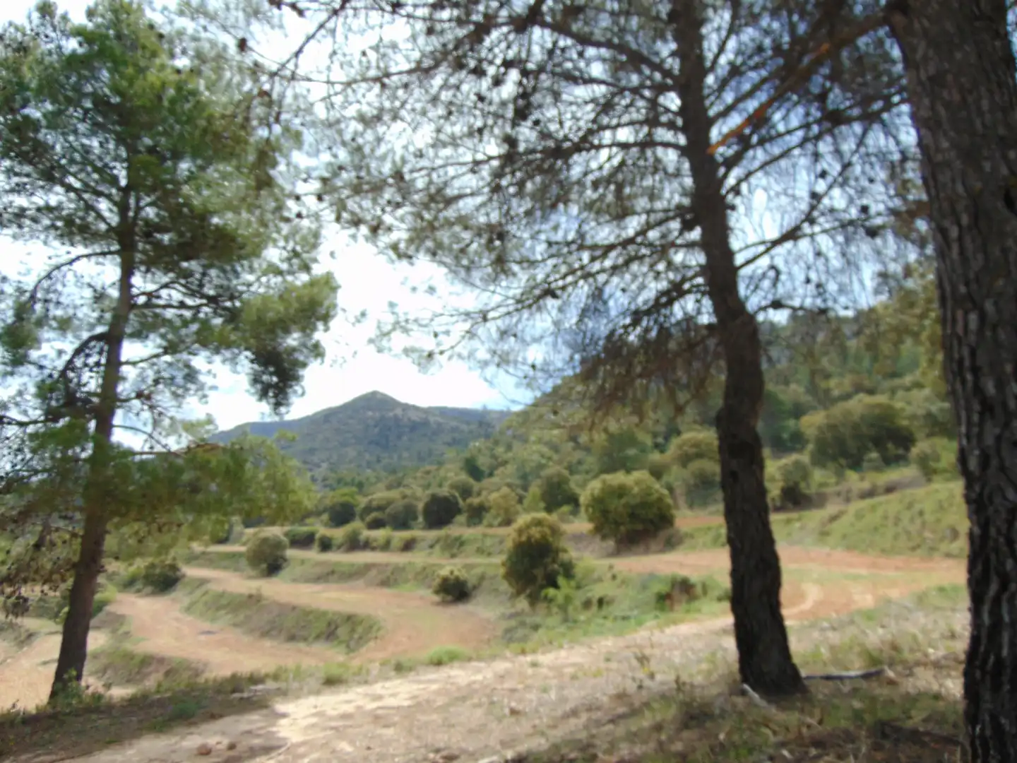 Casa rustica con piscina in vendita a Partida Polop Baix, imagen 59