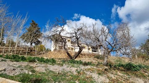 FINCAS EN VENTA (LAROLES – GRANADA), immagine 4