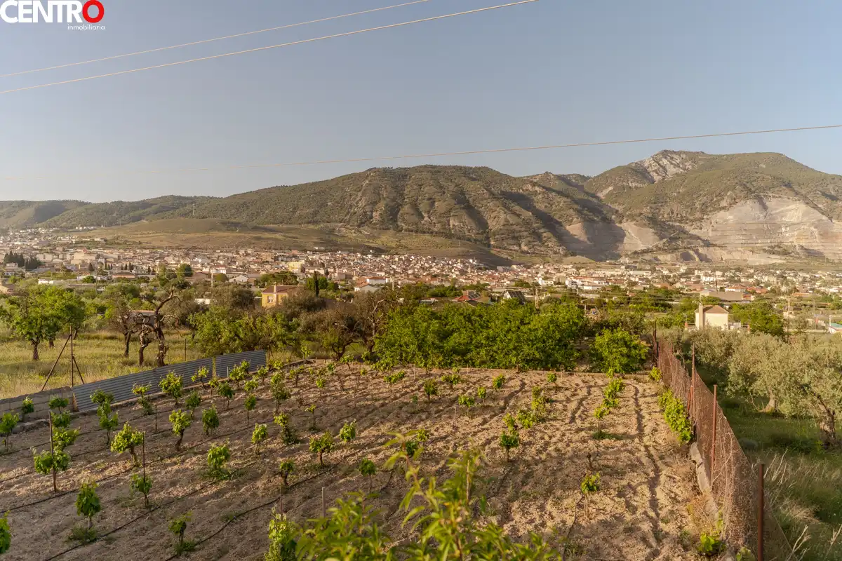 Casa con giardino in vendita a molinos, imagen 52