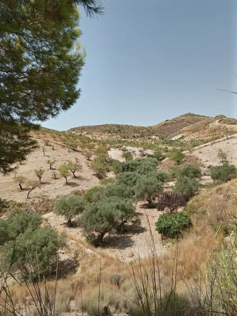 Country homes for sale in Puerto Lumbreras