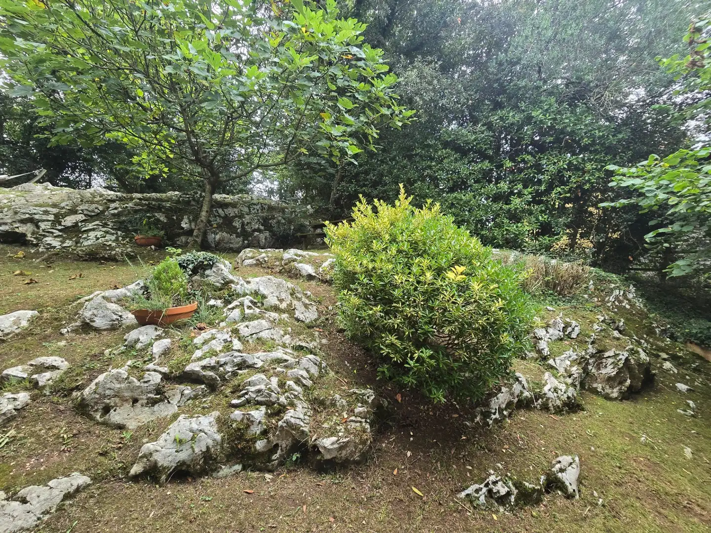 Maison avec jardin à vendre à Posada - Barro, imagen 19