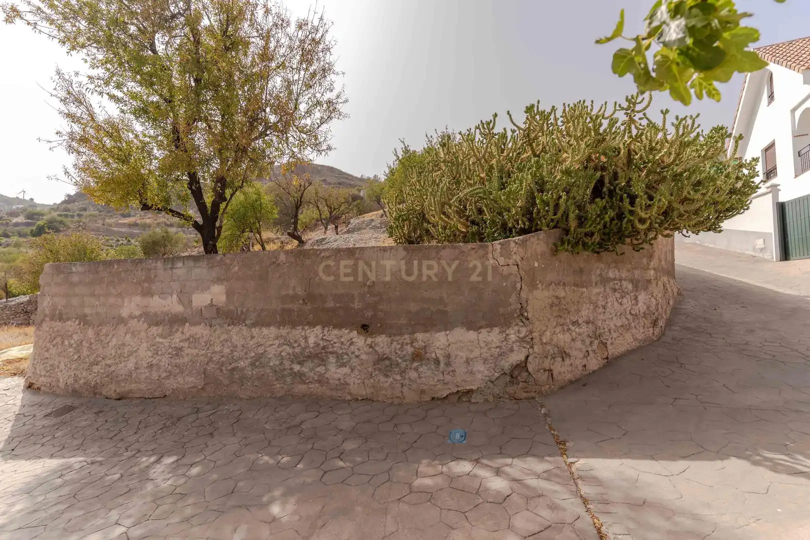 Vista exterior de Residencial en venta en Gualchos
