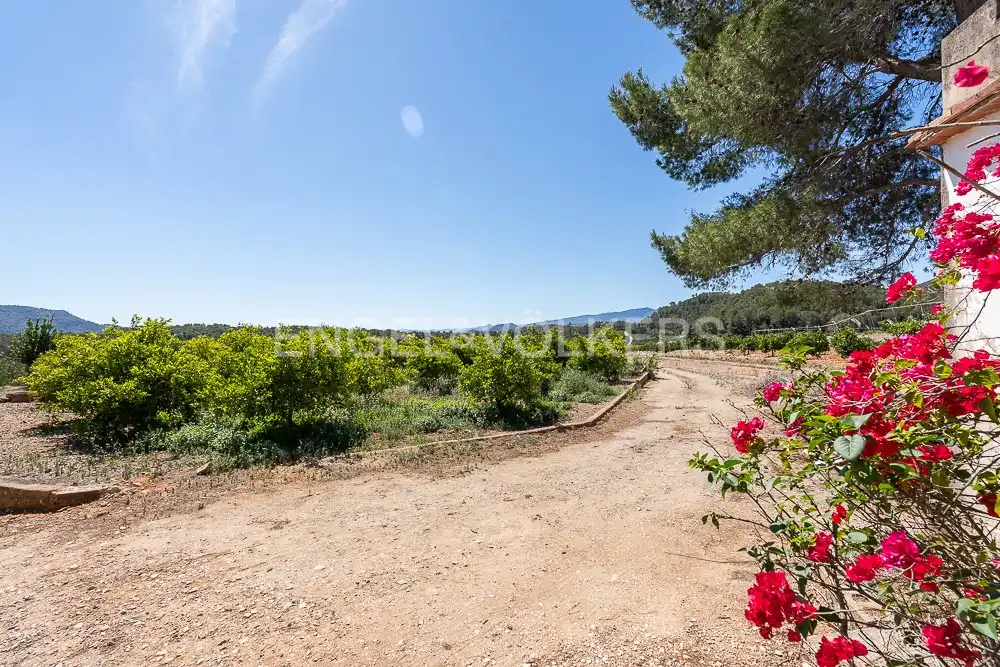 Terrenys i solars en venda a Palma de Gandia, imagen 21