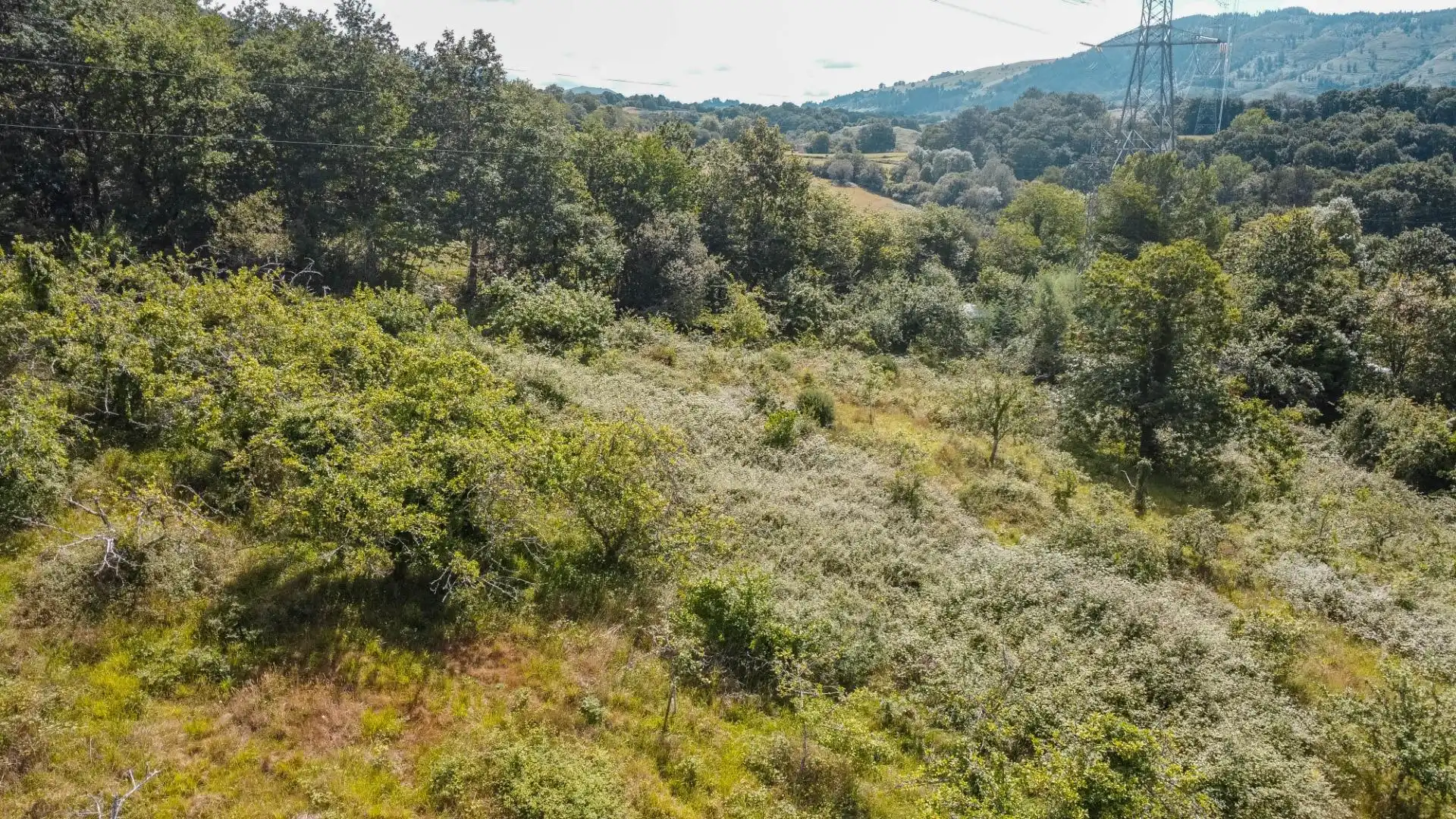 Rural land for sale in del pareo, imagen 35