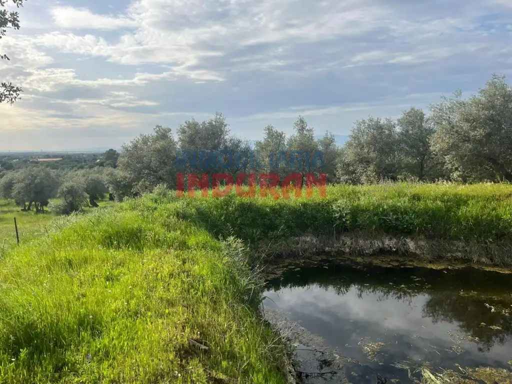 Finca rústica en venta en Millanes