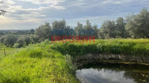 Photo 3 of House or chalet for sale in N/a, Millanes, Cáceres