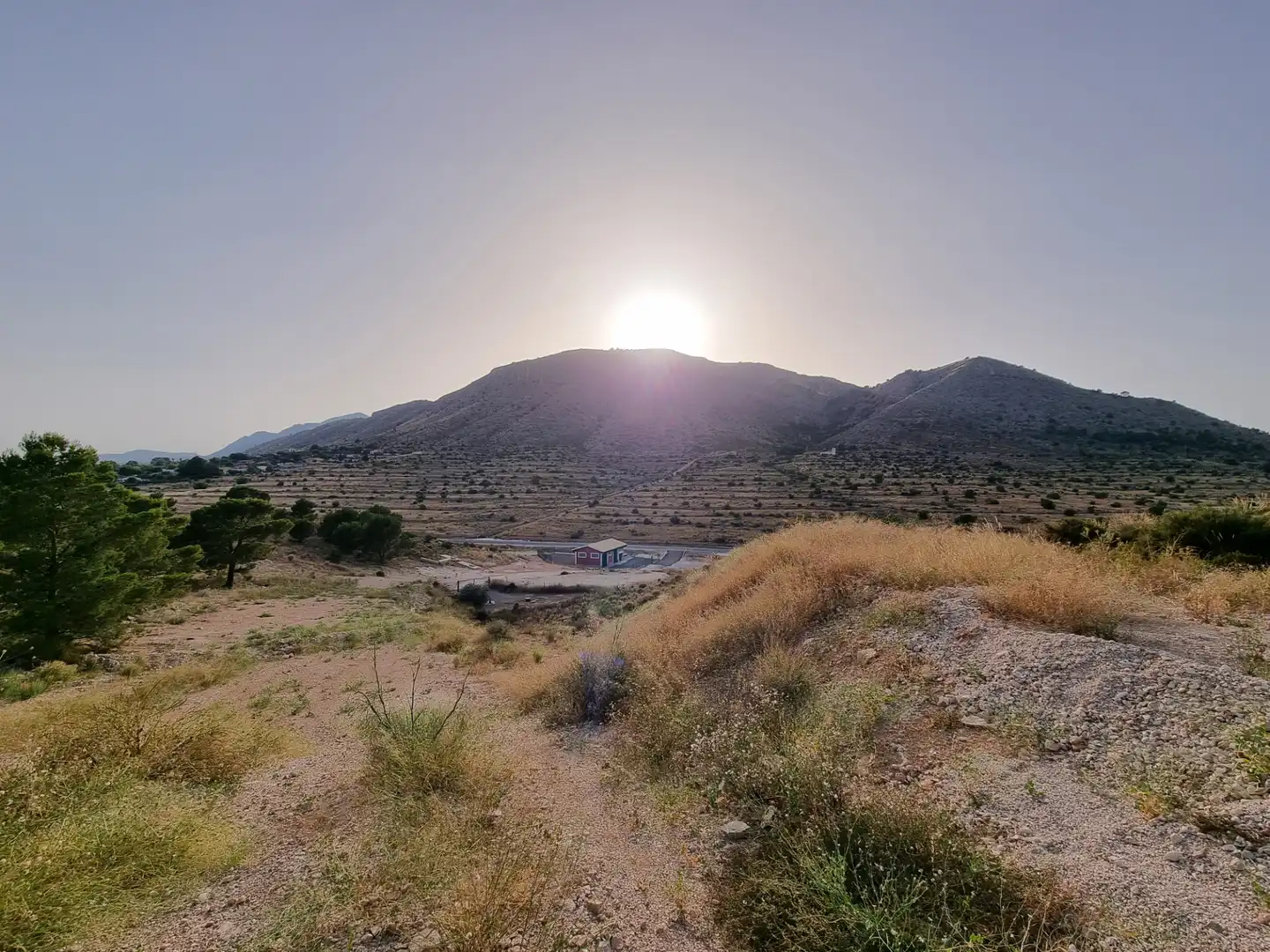 Land for sale in Aspe