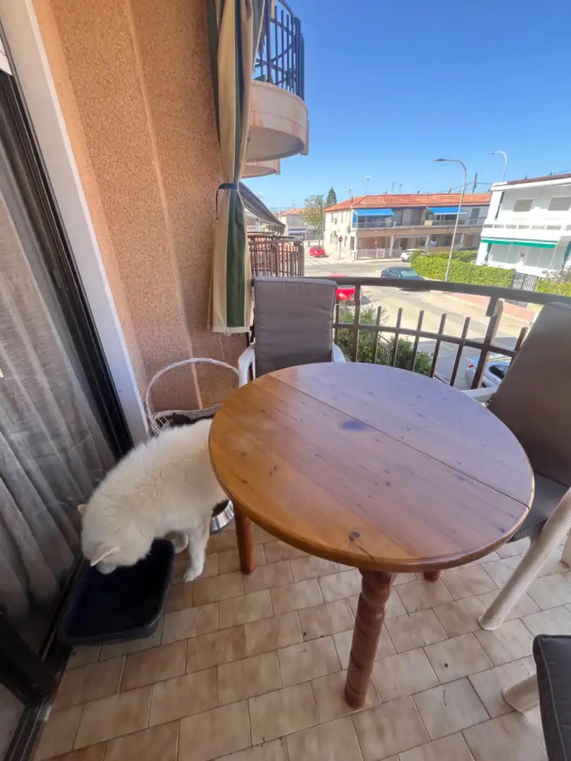 Apartament amb terrassa en venda a Calle Novelda, imagen 4