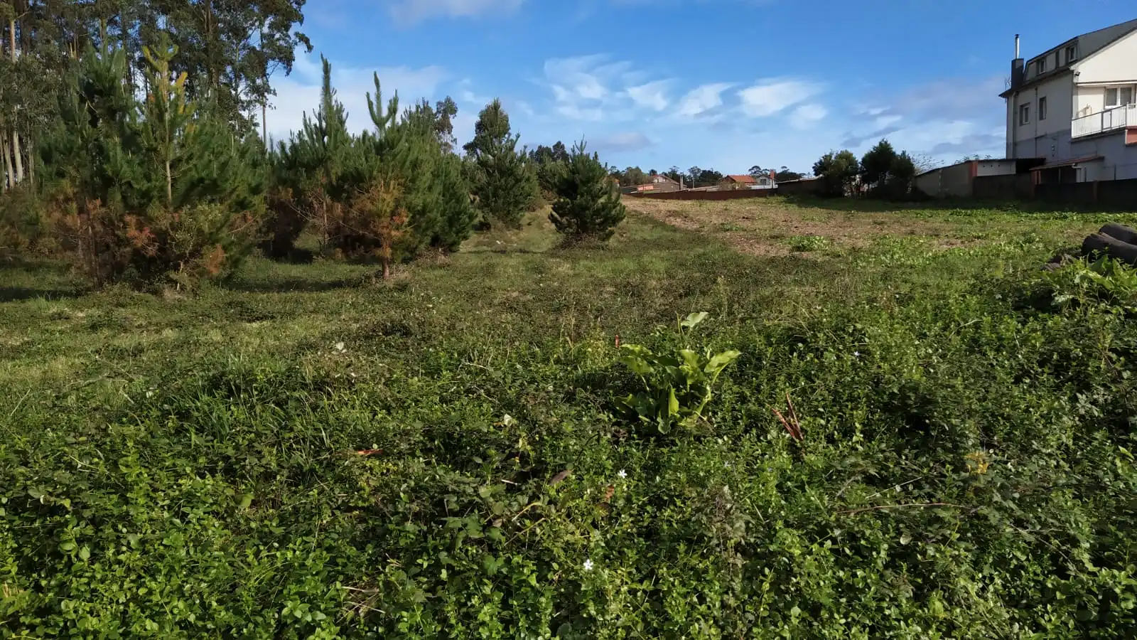 Terreny residencial en venda a Malpica de Bergantiños, imagen 4