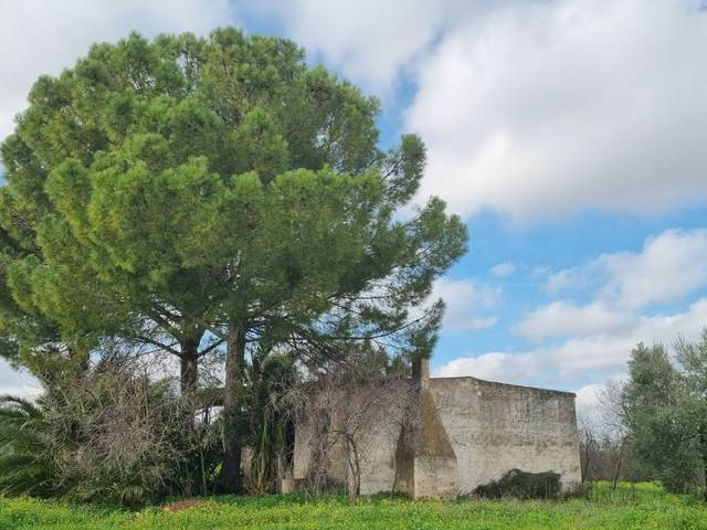 Terreno en Venta en Calle Picasso, 200 en Pilas