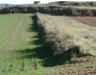 Land for sale in Villalba de Rioja