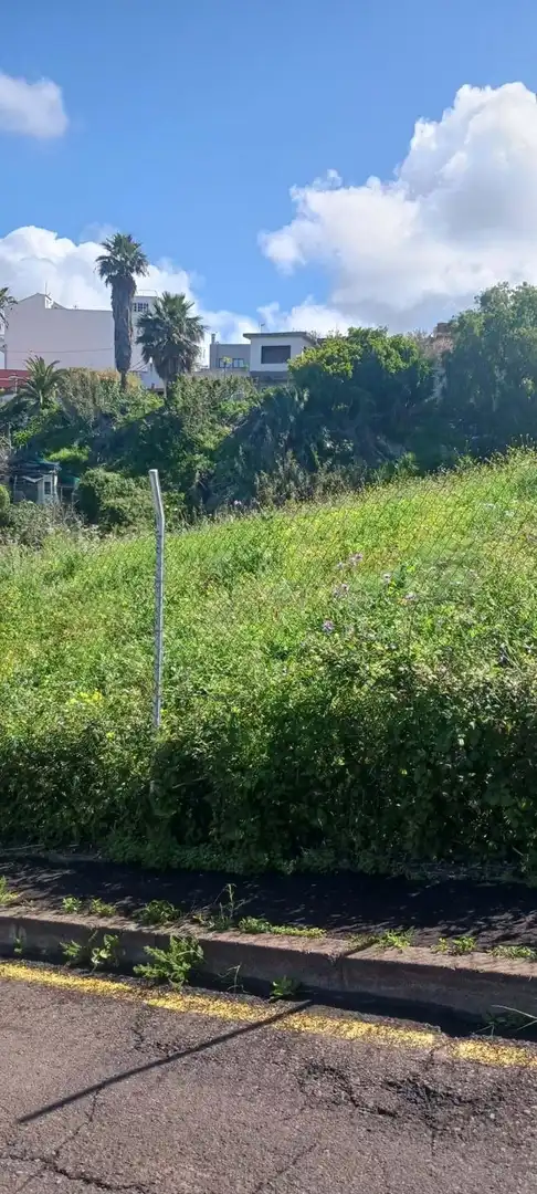 Terreny residencial en venda a El Sauzal, imagen 7