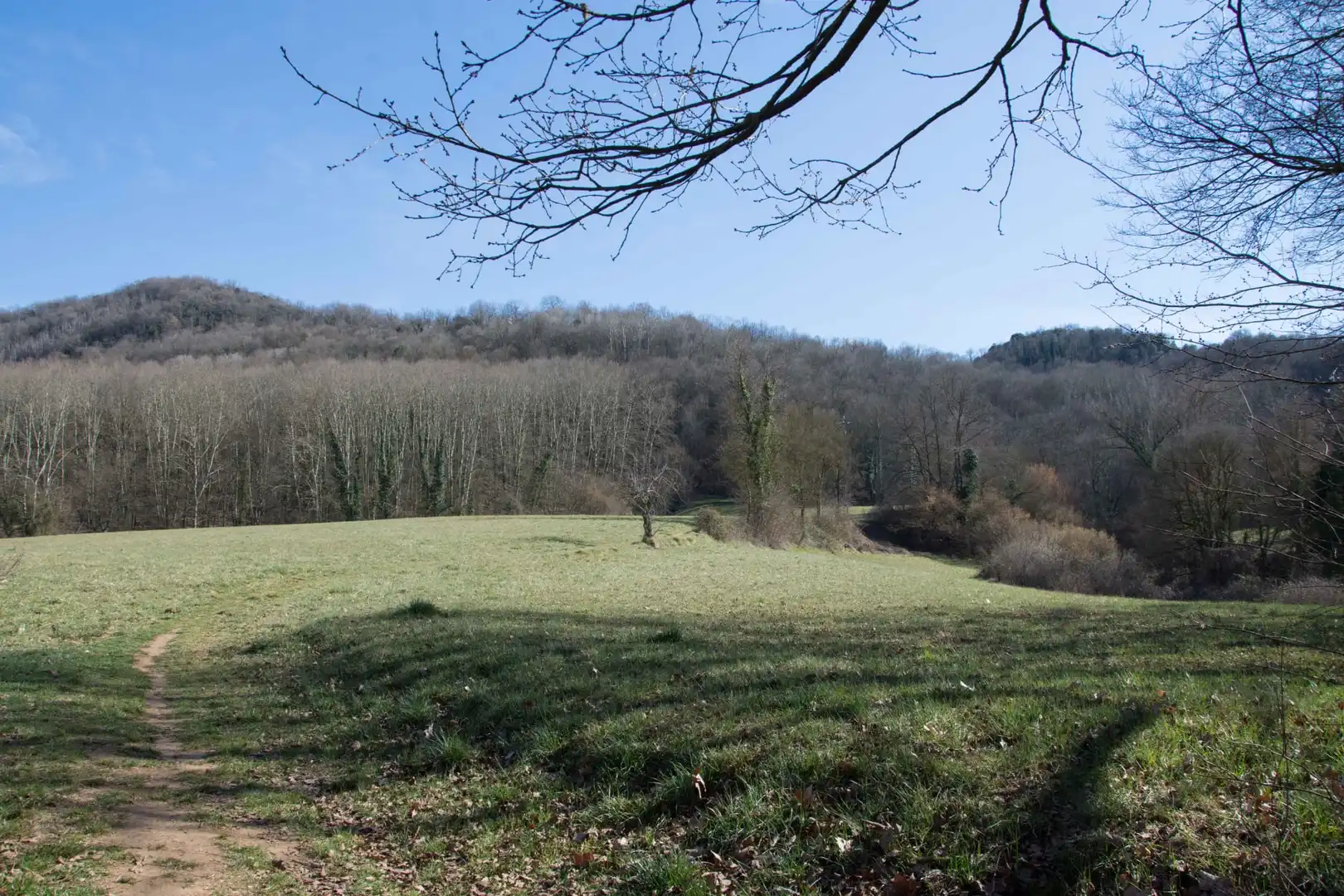 Casa o chalet en venta en Olot con Terraza