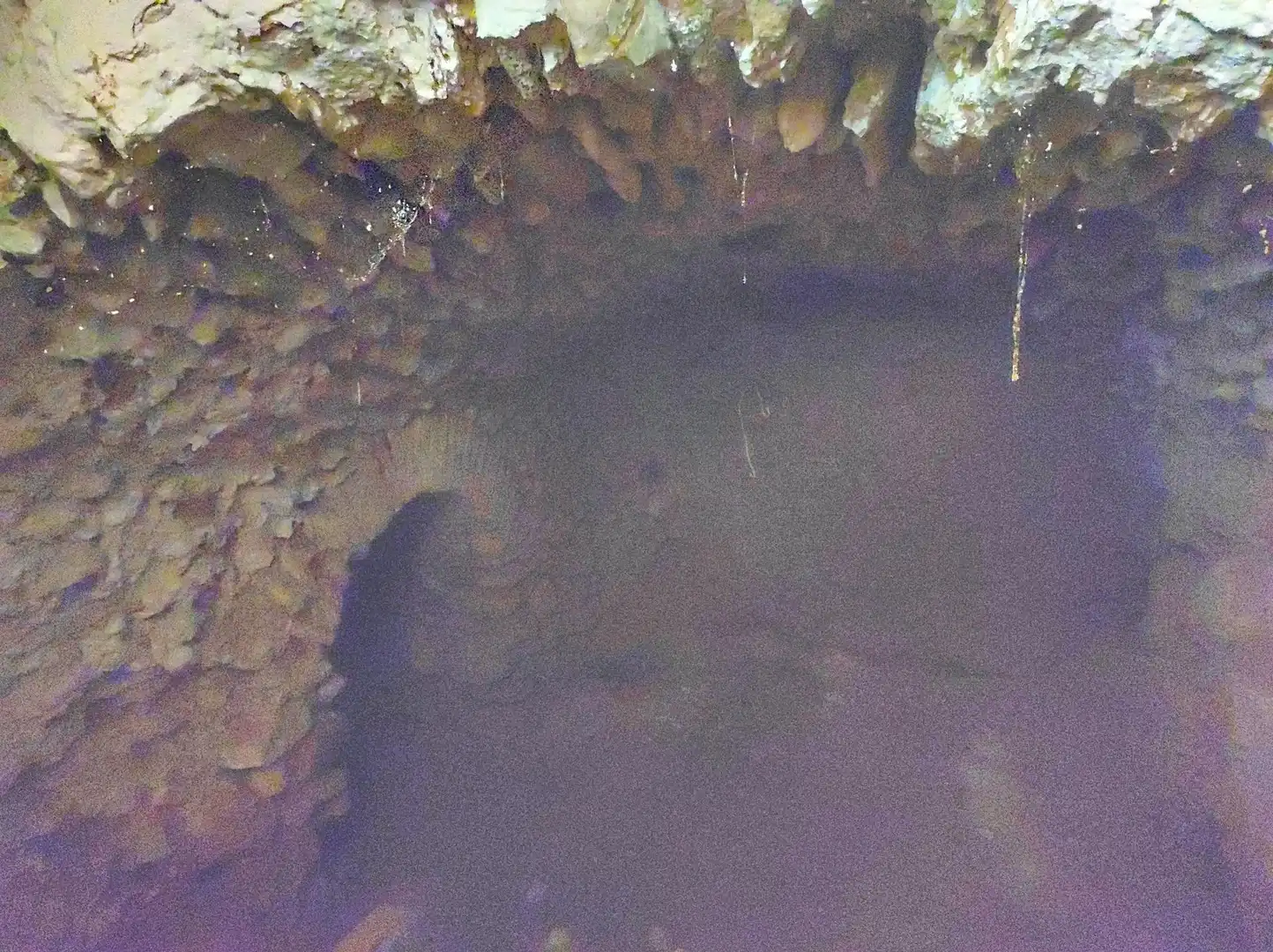 Casa o xalet en venda en Almagro
