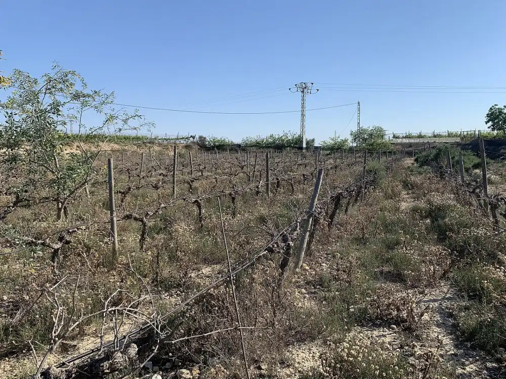 Terreno residencial en venta en Monforte del Cid, imagen 16