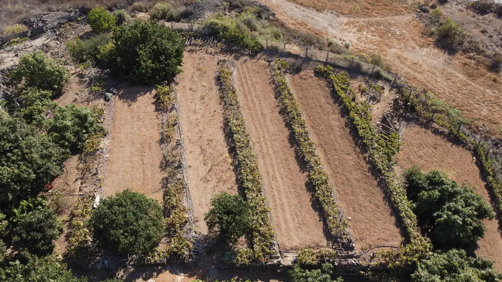 Terreno en venta en Arafo, Santa Cruz de Tenerife