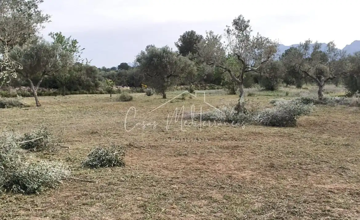 Rural land for sale in Tivissa, imagen 3