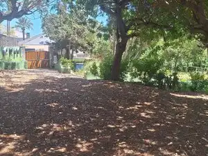 Villa mit Terrasse zum Verkauf in Carretera Marzagán A 30, imagen 4