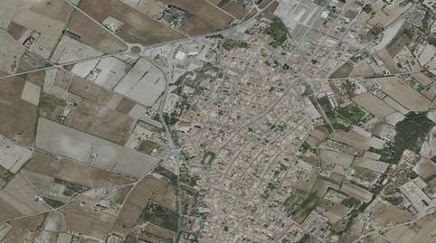 Foto 4 de Finca rústica en venta en Santa Margalida Poble, Santa Margalida